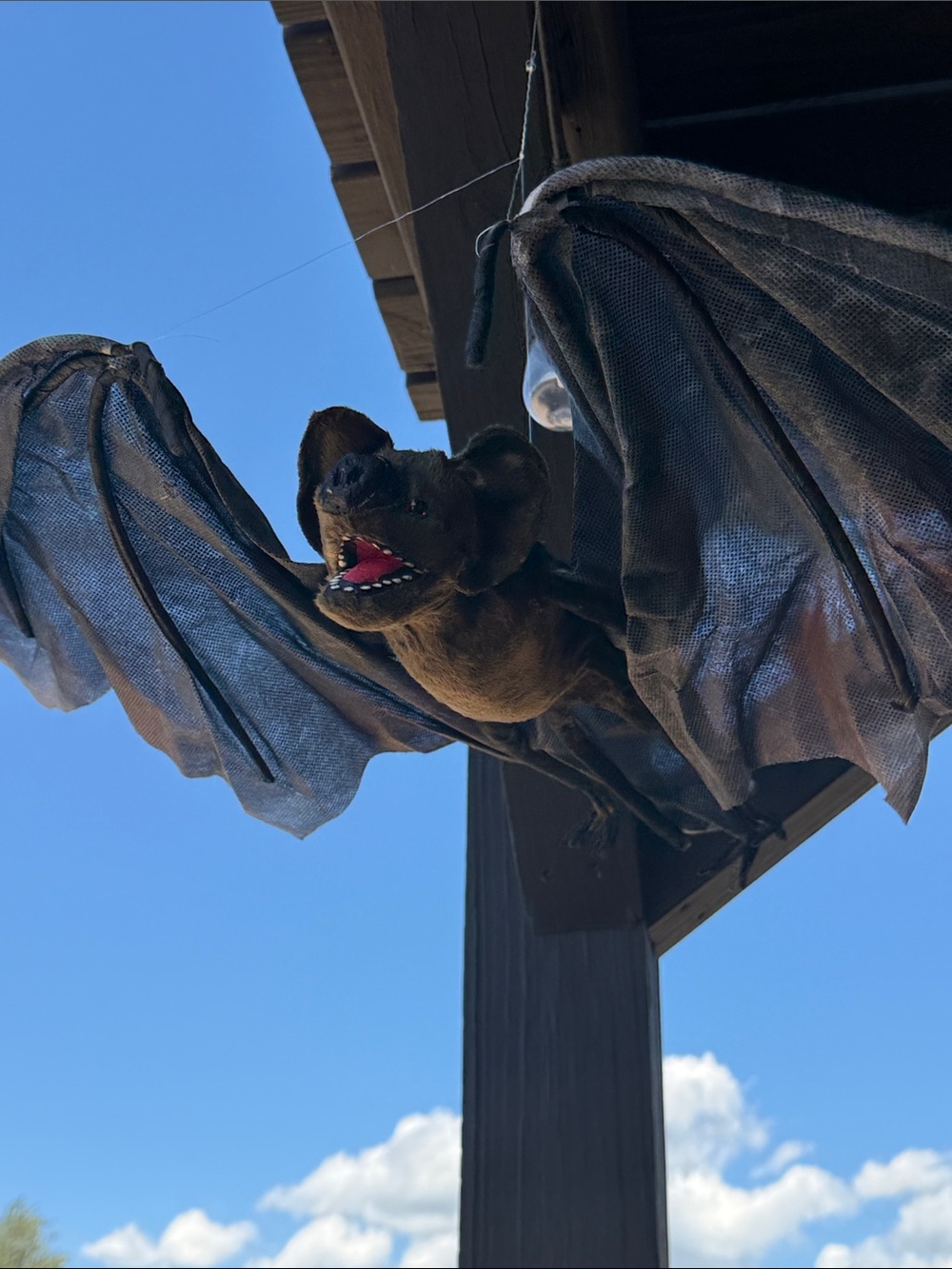 Set of 2 Hanging bats with red flashing eyes.